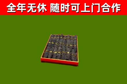 巴里坤县回收海参